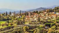 Zivania: the Cyprus grape spirit with centuries of history