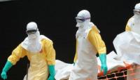France confirms world's first human case of Shamonda virus; patient dies