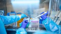 Livestock disease Shamonda detected for the first time in a human who died