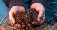 Organic support cannot be optional, says IFOAM