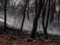Indonesia’s haze has sickened 175,000 people as El Niño fuels its worst fire season since 2015