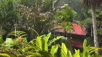 This Country is Central America’s Ultimate Nature Escape