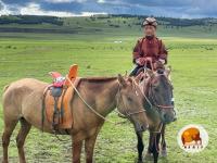 Editorial: Pastoralism Shaping Living Landscapes through Agroecology