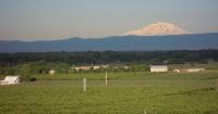 Reservoir Farms to bring agtech incubator to Washington state in 2027