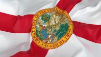 Florida suspends two companies for unlicensed activity