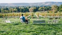 On the wine trail in Sussex