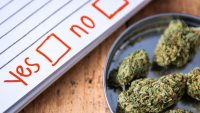 Massachusetts: Lawmakers Urge ‘No’ Vote on Marijuana Repeal Effort (Question 8), Latest Poll Shows Little Public Support
