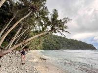 Samoan Island Witnesses Explosion of Native Wildlife Following Removal of Invasive Rats and Pigs