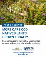 Barnstable County Awarded $51,363.50 to Help Local Growers Bring More Cape Cod Native Plants to Market