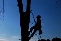 PG&E puts a $22.5B price tag on San Francisco public grid takeover proposal