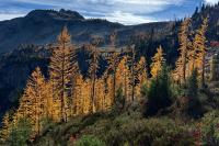 Agriculture secretary says agency is ‘full-bore ahead’ on Forest Service reorganization