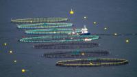 European Commission sets 2040 course for fisheries and aquaculture