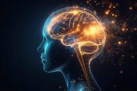 How Systems Biology Is Adopting an Engineering Framework