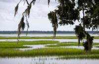 McMaster Creates Commission to Expand South Carolina Land Conservation