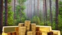 Norwegians Are Falling Victim To Scammers Who Convince Them To Leave ‘Large Sums’ Of Gold In A Forest For Safekeeping Before Stealing It