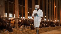 Man dies in France from cattle virus once thought harmless to humans, and it’s already on Spanish farms