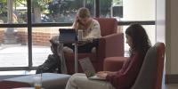 Virginia Tech’s HokieAI platform draws mixed reactions on campus