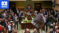 NSW MPs 'in tears' after parliament security briefing