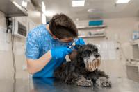 <![CDATA[An untapped clinical resource may already be on staff, research suggests]]>