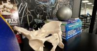 Idaho physical therapists rank high in job confidence amid AI concerns