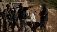 West Bank’s olive harvest marked by increased violence