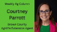 AgriLife Extension to Host Pathways to Mastering Scholarships Workshop Nov. 17