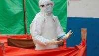 France reports first human case of Shamonda virus: Understanding symptoms and public health risks