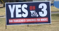 Amendment 3 includes ban on already-illegal 'gender transition procedures for minors'