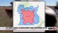 State and fed AG officials respond to New Mexico’s 5th New World screwworm case