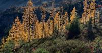 Agriculture secretary says agency is 'full-bore ahead' on Forest Service reorganization