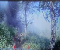North Korea Lays 960,000 Mines in DMZ Over Two Years