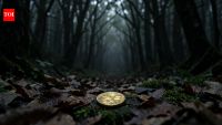 Norwegians duped into buying gold and hiding it in forests in bizarre investment scam