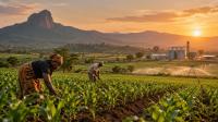 Can Cameroon Turn Agricultural Investment into Jobs, Food Security and Economic Growth?