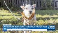 Long Beach woman writes children’s books about foster dogs for charity