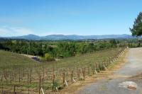 Sonoma Winery That Vanished in 2024 Returns After Merger With Brookside