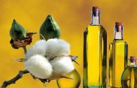Turkmenistan Boosts Food Security with New 60,000-Ton Vegetable Oil Facility in Dashoguz Region