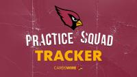 Arizona Cardinals bring back TE to practice squad