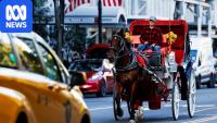 New York City bans horse-drawn carriages from 2028