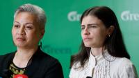 Greens fail to convince NZ business leaders they are credible coalition partners