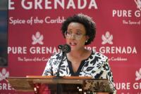 Grenada visitor spending to top EC$1 Billion for 2nd straight year