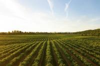 West Virginia agriculture commissioner warns data centers could threaten valuable farmland