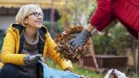 Five autumn jobs gardeners are getting wrong – and the easy fixes