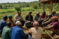 Cameroon Unites Global Partners to Cut Food Imports and Grow Rural Jobs