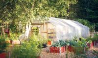 Protected kitchen gardening: a small step towards food security and healthy living