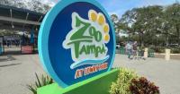 Hillsborough County Commissioners approve $75M funding agreement with ZooTampa