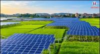 Agrivoltaics in India: How Solar Panels Could Transform Sustainable Farming