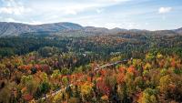Québec, Kyoto and Wachau Valley: These are the world’s best places to visit for autumn foliage