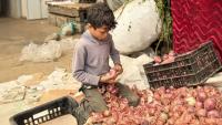 Yemen’s Taiz faces severe shortages as aid routes close