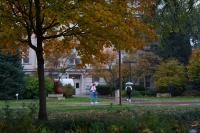 Understanding Iowa State’s Program Vitality Review