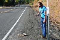 Environment group counts roadkill along Tollgate Highway in Eastern Oregon